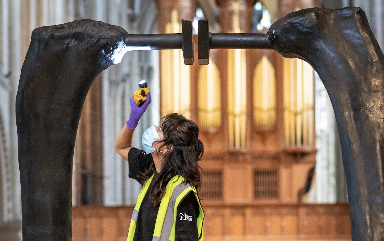 Dippy on Tour - Images at Norwich Cathedral