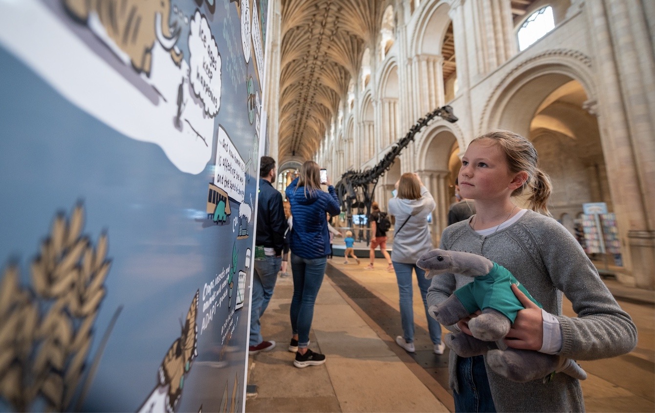 Dippy in Norwich Cathedral 2