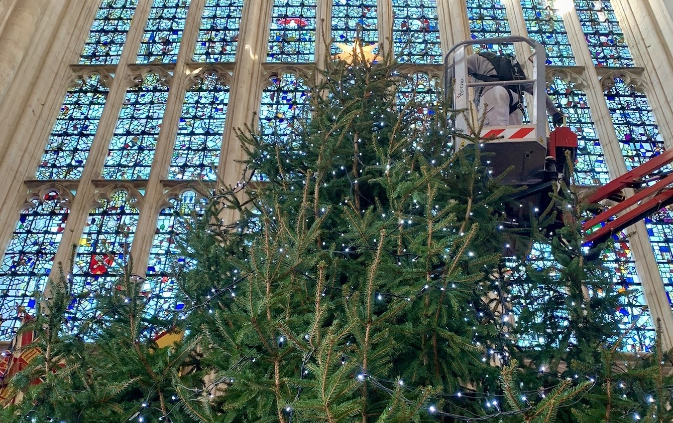 Winchester Christmas tree 2021 (10).jpeg