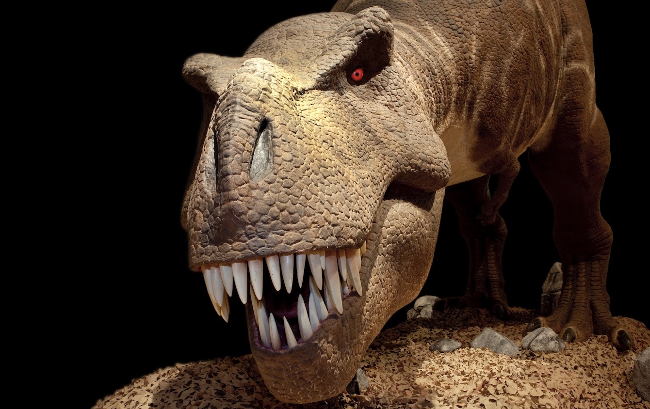 It’s a date for dinosaurs - Event at Peterborough Cathedral at Peterborough Cathedral this summer