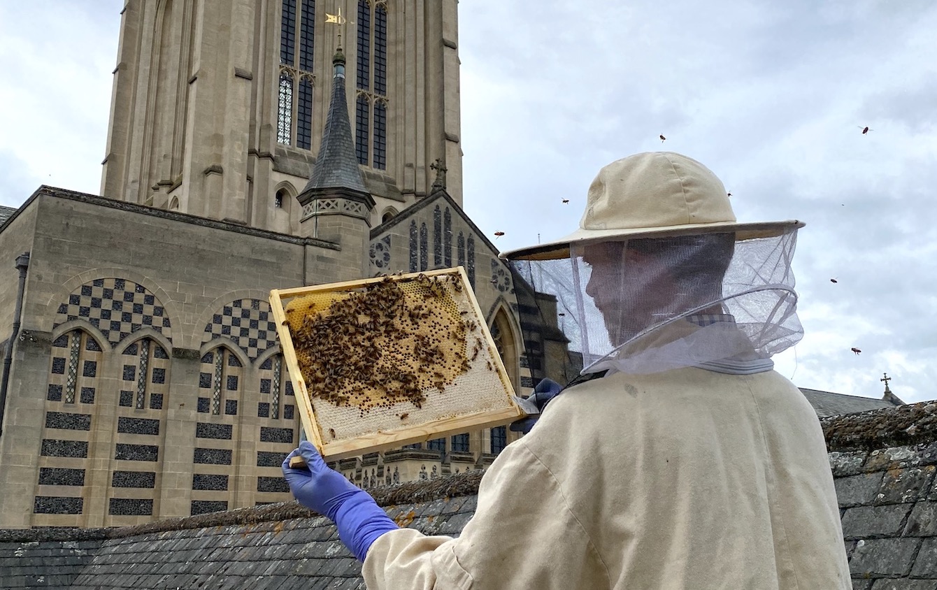 WORLD BEE DAY – celebrating the humble bee and its role in caring for our creation